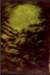 greenmaska2acrylicflockonpaper_small.jpg