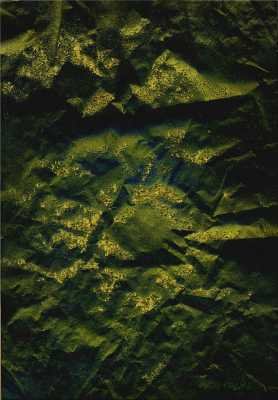 greentriodea6acrylicflockingonpaper.jpg