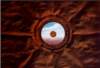 hatcha1acryliconpaper_small.jpg
