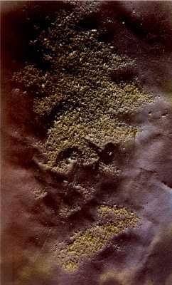 icemana7acryliconpaper.jpg