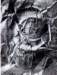 insigniaforanengineera3inkonpaper_small.jpg