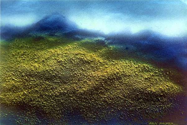 muirlanda5acryliconpaper.jpg