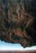 overhangia5acryliconpaper_small.jpg