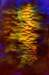 regeneration51x75cmacryliconcanvas_small.jpg
