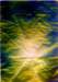 sunriseonaruinedlanda5acryliconpaper_small.jpg