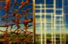 thenet102x160hangingdiptychacryliconcanvas_small.jpg